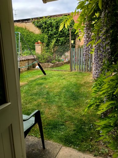 Back garden.